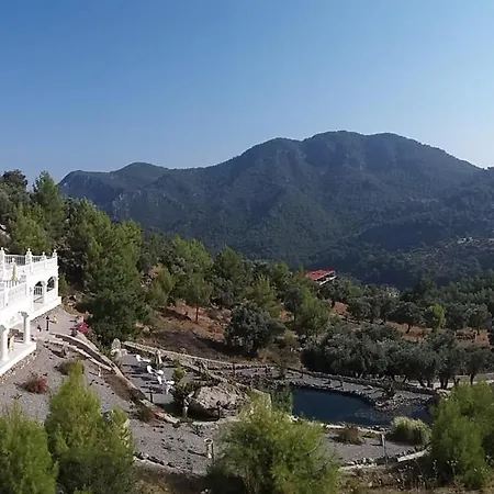 Otel Palace Gokbel 5*