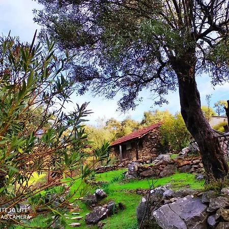 Hotell Palace Gokbel